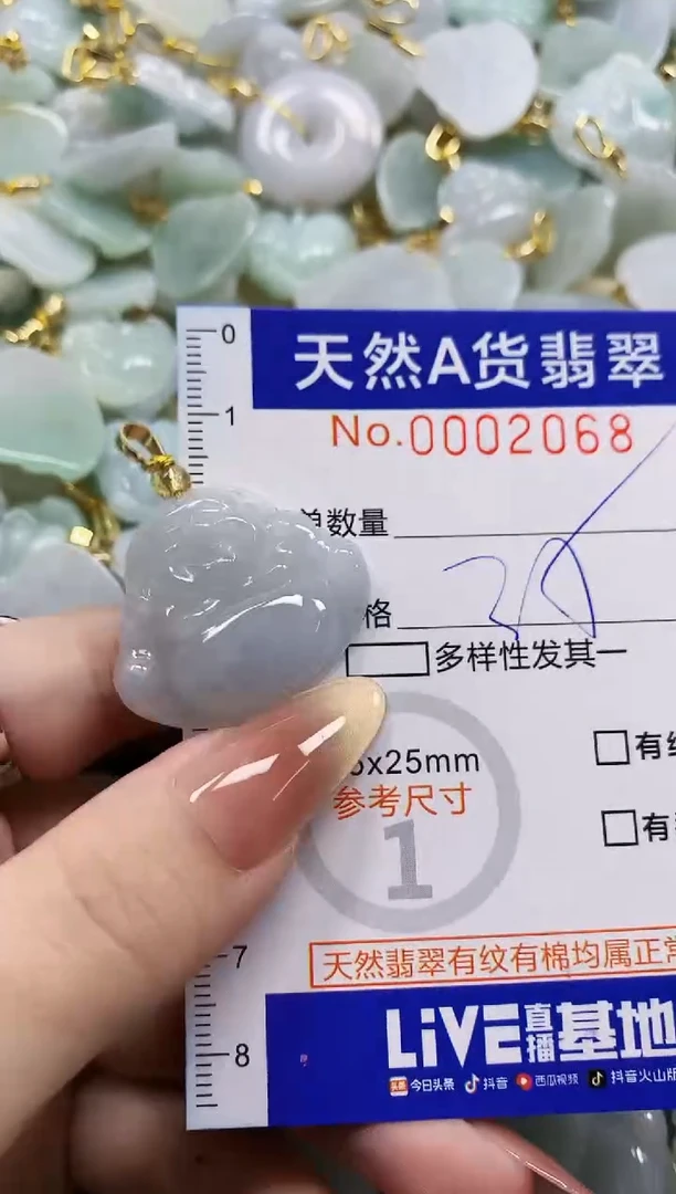 颈饰未镶嵌翡翠天然A货翡翠