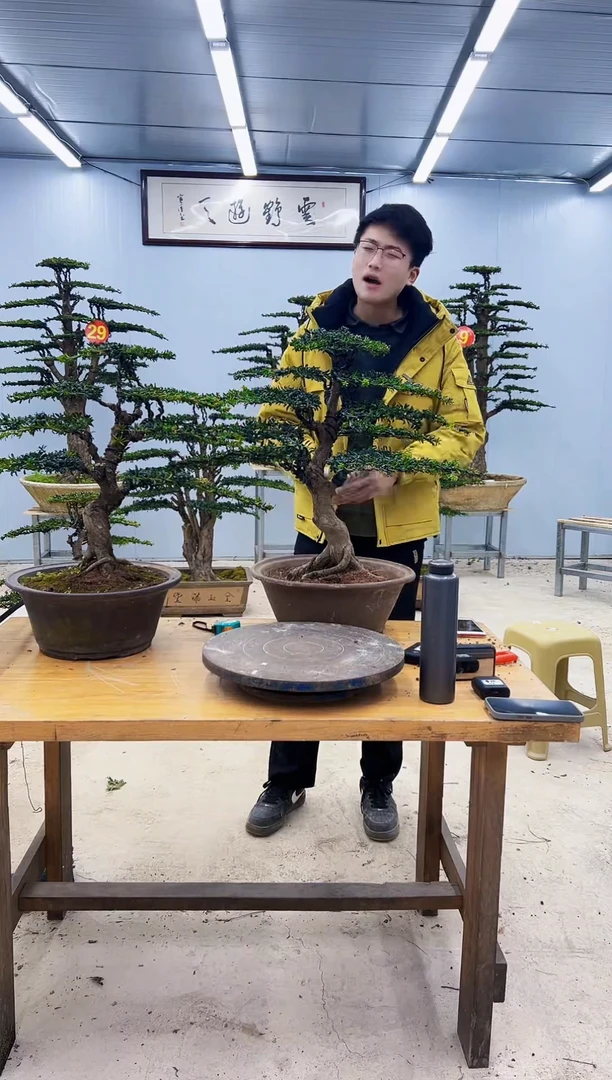 无花朵000000000000