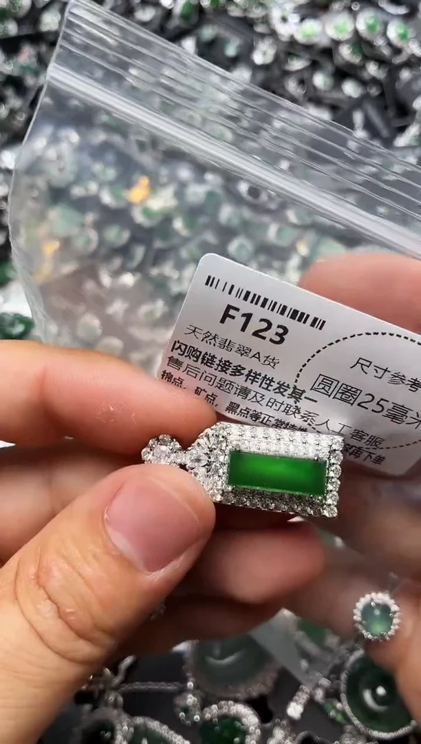 翡翠未镶嵌颈饰F123吊坠