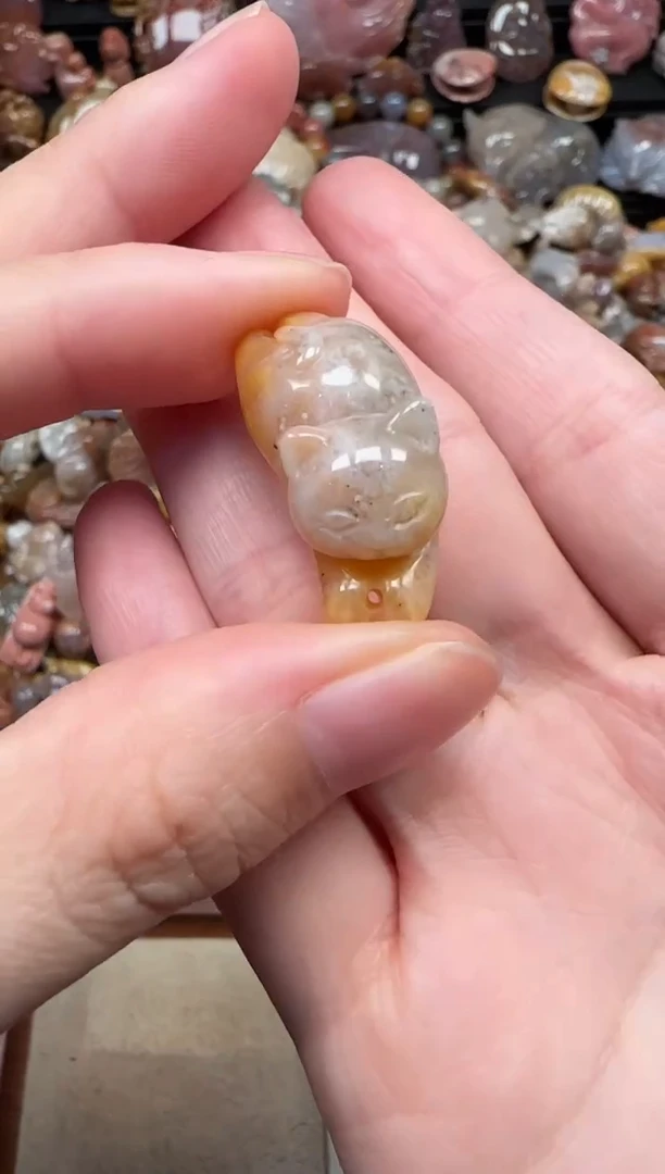 颈饰未镶嵌硅化珊瑚（珊瑚玉）693