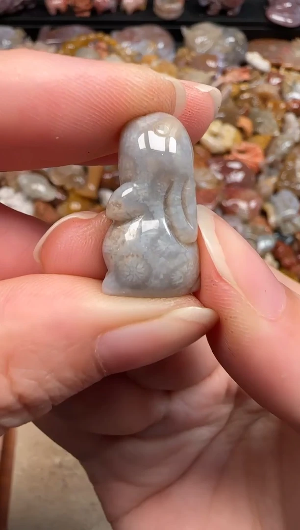 硅化珊瑚（珊瑚玉）未镶嵌颈饰747