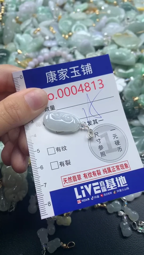 颈饰未镶嵌翡翠4813