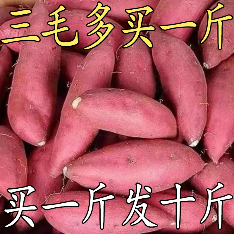 【抢购中】沙地蜜薯1-9斤超甜黄心红薯地瓜红苕番薯农家蒸煮实用