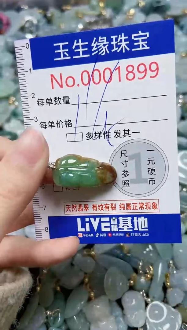 【闪购商品】翡翠颈饰未镶嵌闪购00001899
