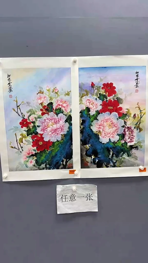 国画柳晓叶绘画2.7pc花鸟（任意一张）