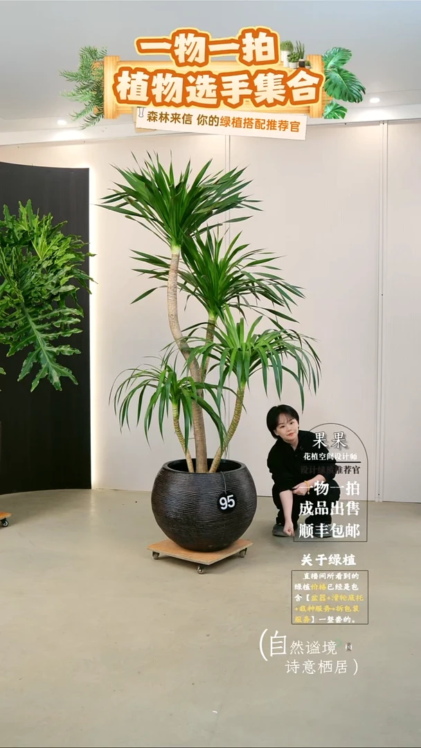 完全开放天****_大老桩太空铁送货上门