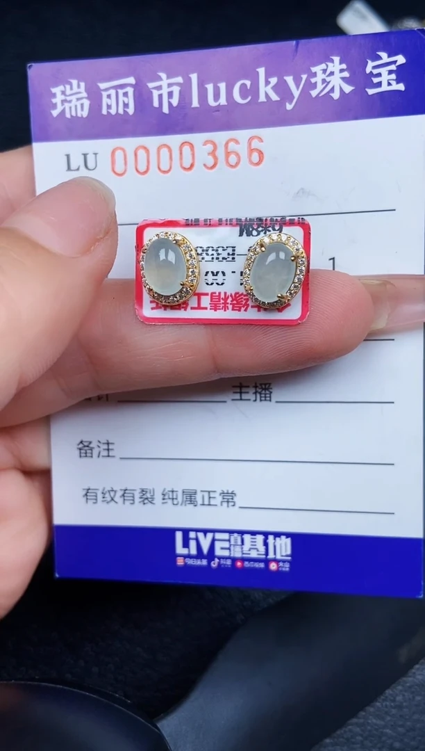 翡翠银S925镶嵌颈饰0366