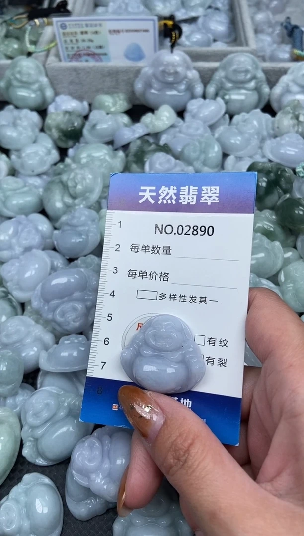 颈饰未镶嵌翡翠纯天然A货翡翠2890