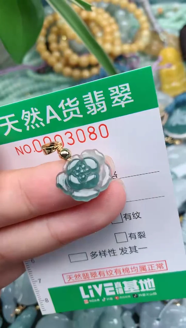翡翠未镶嵌颈饰.0003080