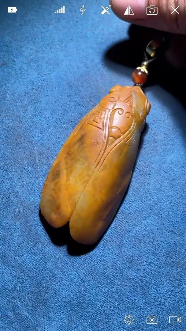 未镶嵌和田玉挂件TJ 金蝉