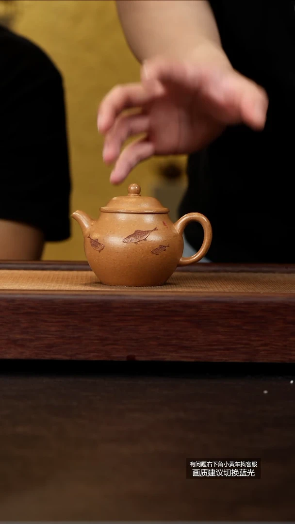 茶壶紫砂蒋工堂原矿老宕口黄金段鱼乐