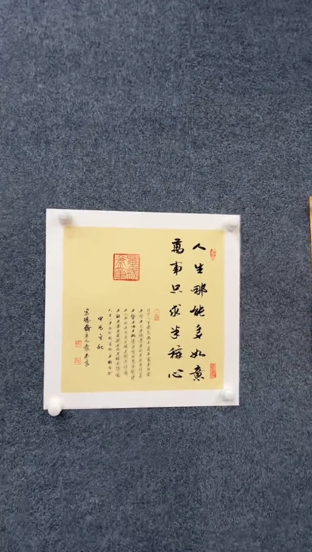 国画袁志良-书法-无国检-007