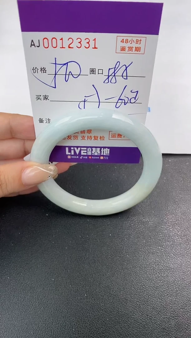 未镶嵌手镯翡翠天然A货翡翠
