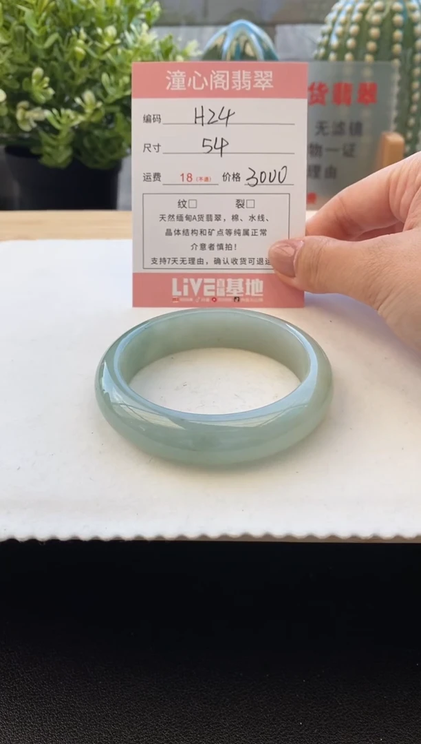 未镶嵌手镯翡翠54圈口 编码H24