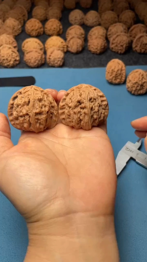 文玩核桃把件w62  白狮子 43尺