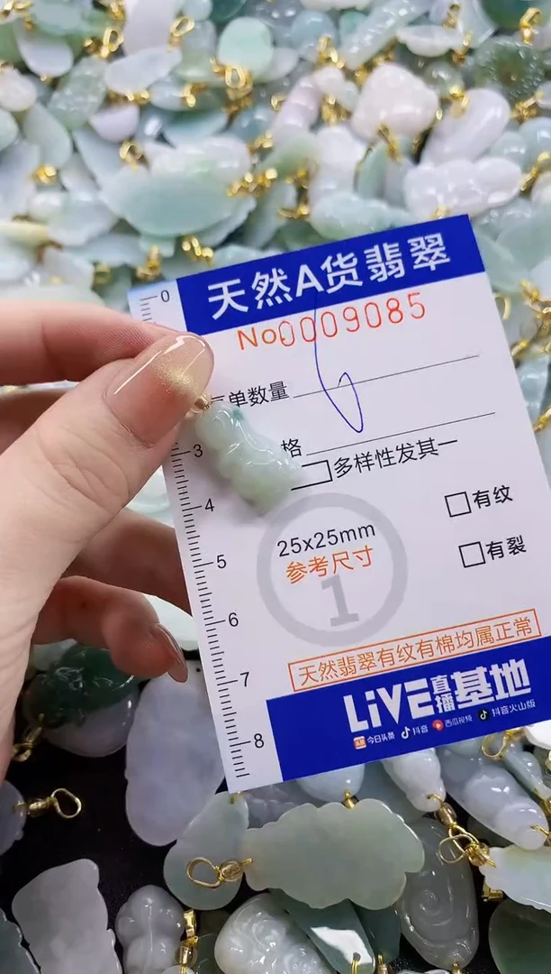 颈饰未镶嵌翡翠天然A货翡翠