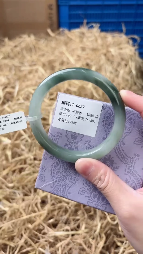 未镶嵌手镯石英质玉T-0627