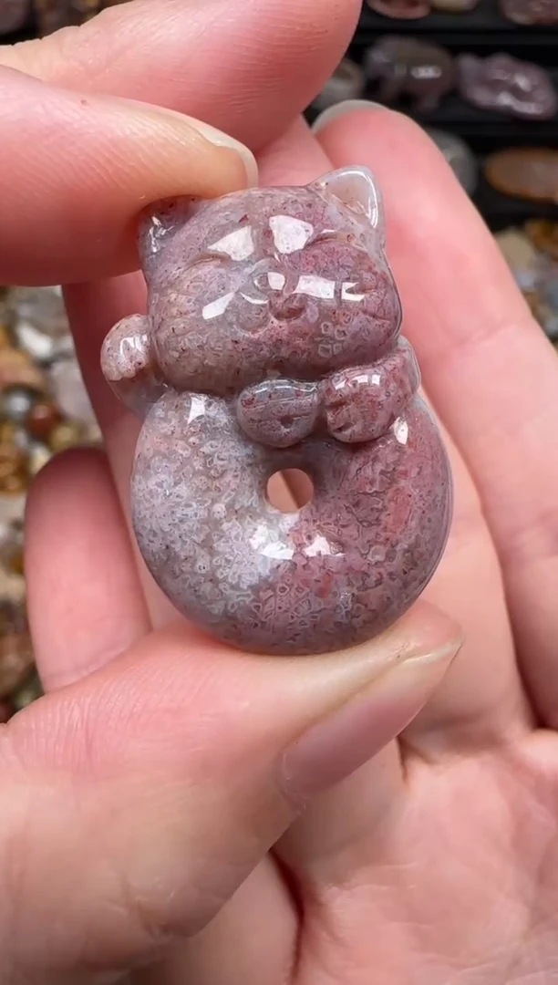 颈饰未镶嵌硅化珊瑚（珊瑚玉）372