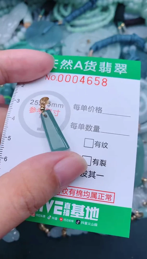 翡翠未镶嵌颈饰.0004658