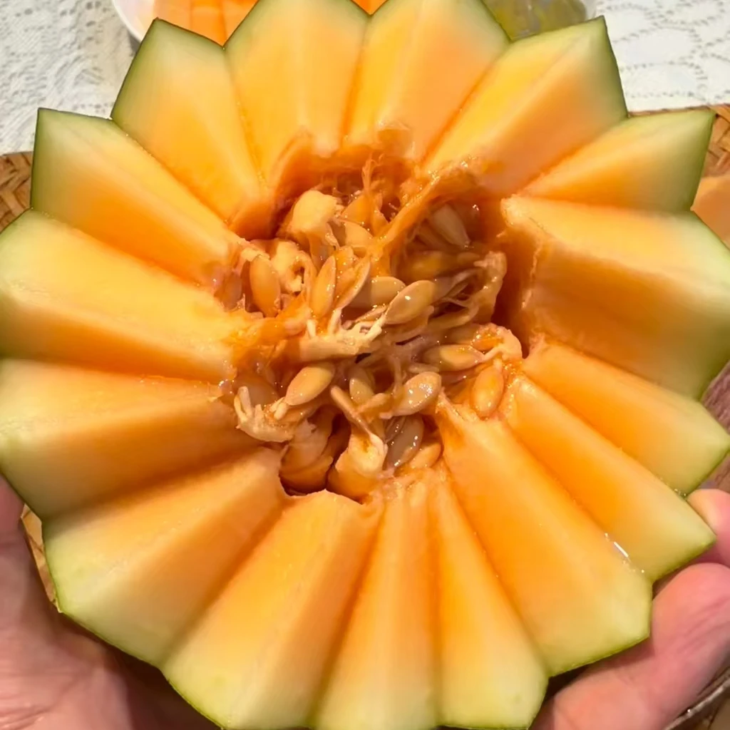 【三颗】[Y]瓜飘香哈密瓜 份/3枚 仅限太原晋中吕梁忻州可拍