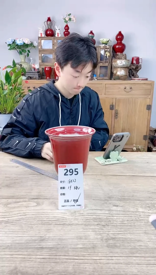 晴好园艺直播编号295