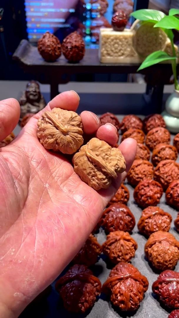 把件金刚菩提一帆风顺 规格36+