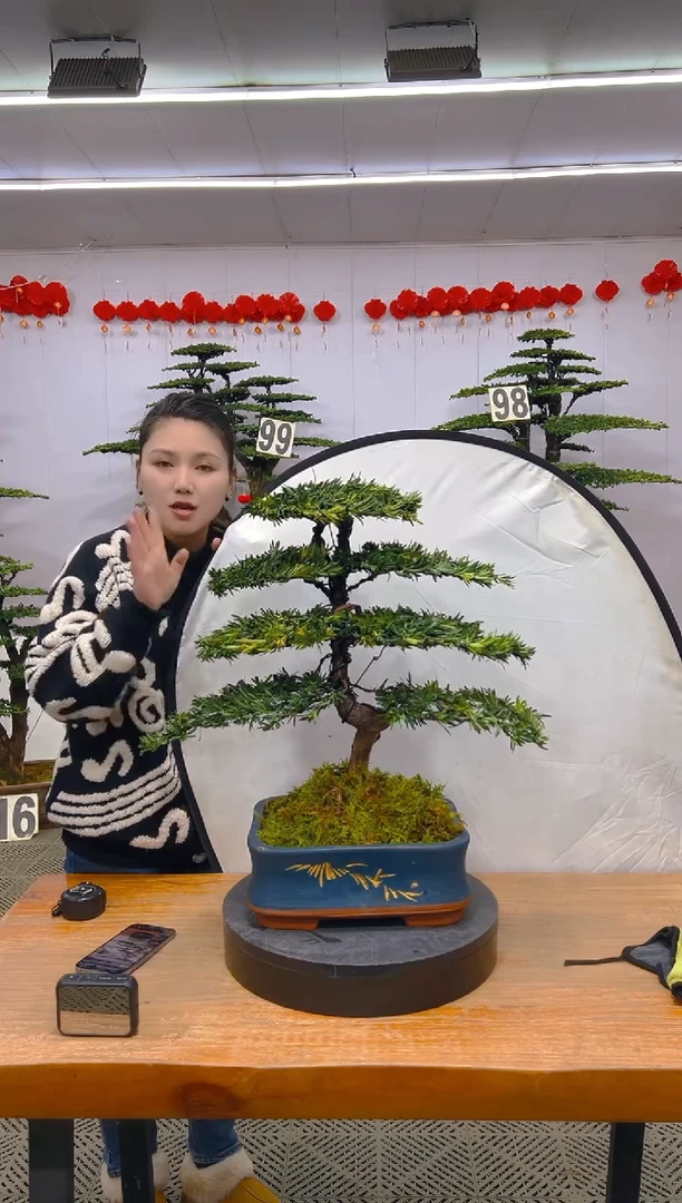 【闪购商品】盆景1