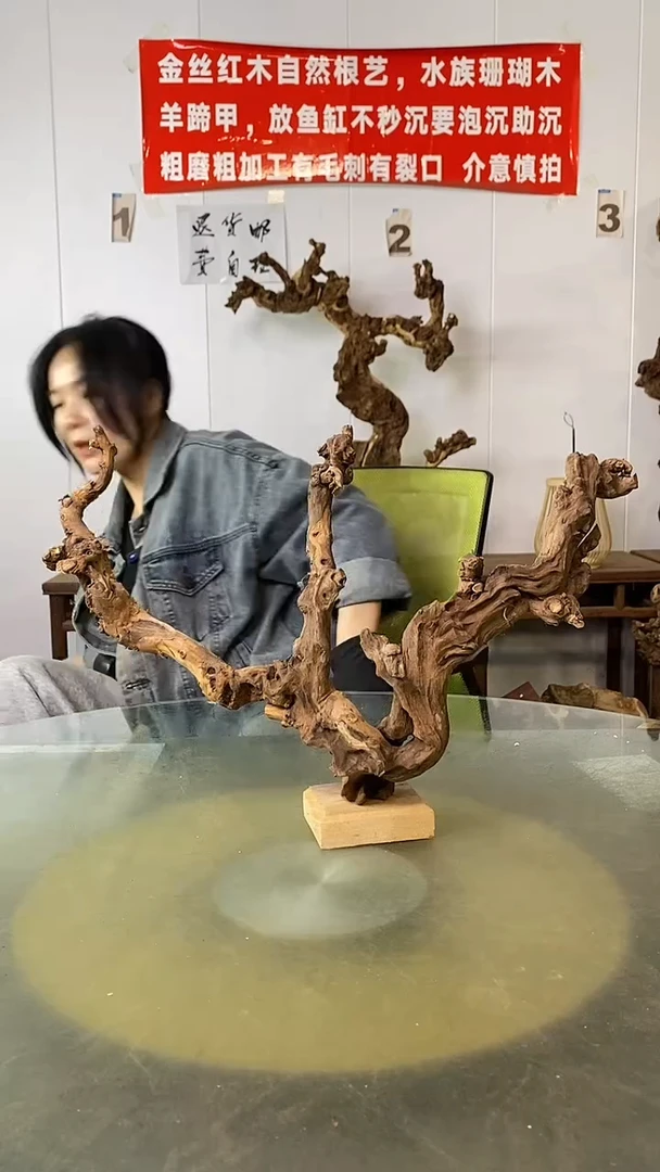 香榧木2****7金丝红木 羊蹄甲