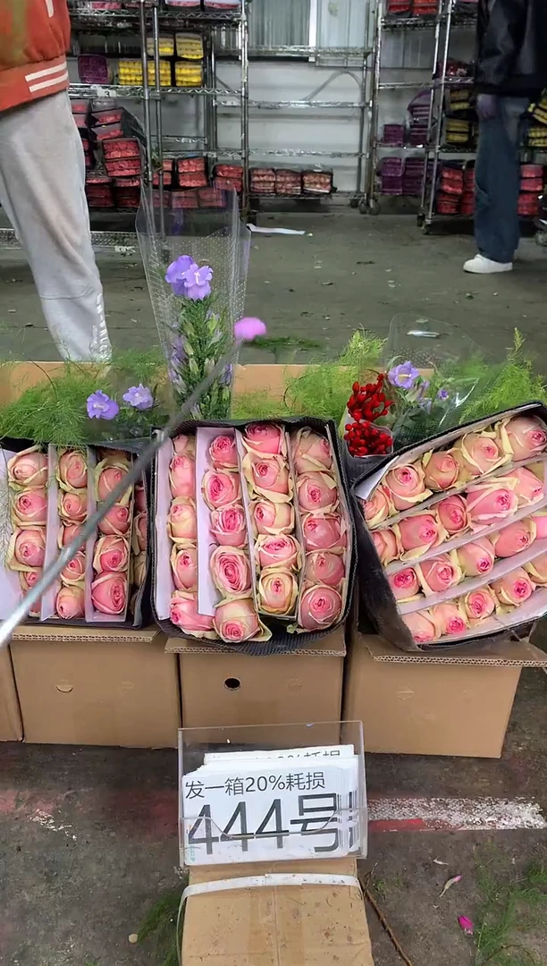 444号♥中通含20%耗损发一箱鲜花