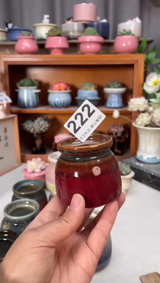 瓷片卷****）222小芳花盆直播编号