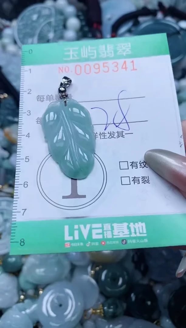 【闪购商品】翡翠颈饰未镶嵌闪购0095341
