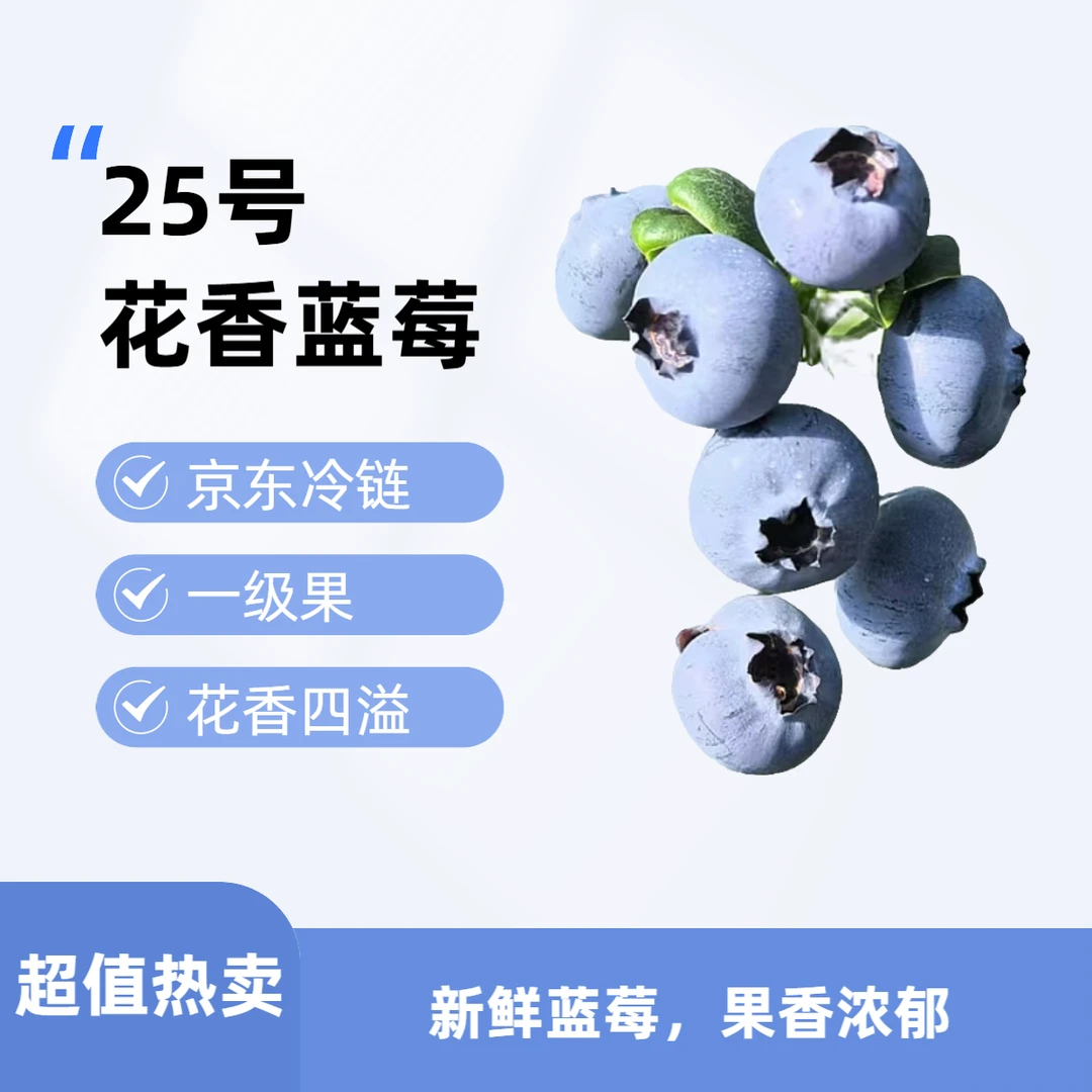 【云南花香纯甜蓝莓】云南高原纯甜花香蓝莓新鲜鲜果高山花香（15mm-21mm）125克/盒到手四盒云南省