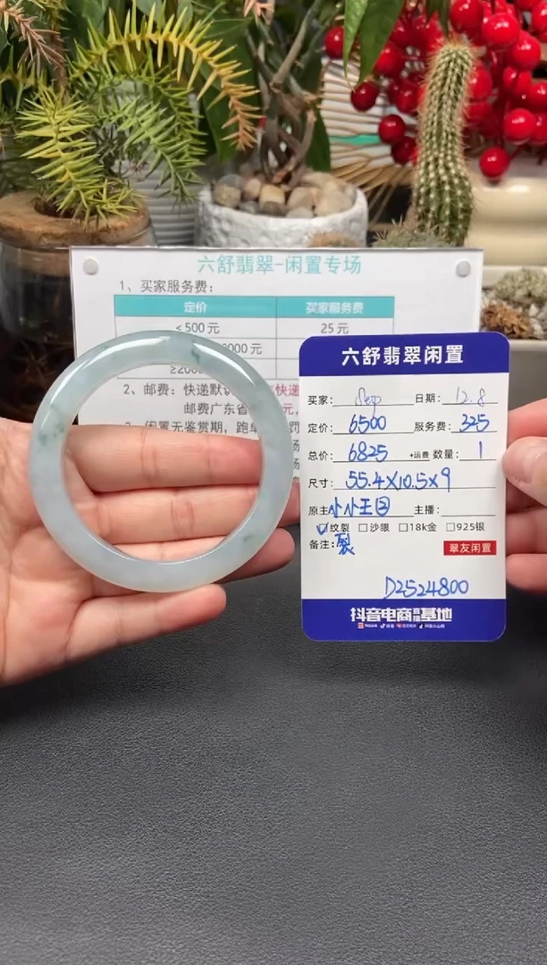 未镶嵌手镯翡翠S**.D2524800