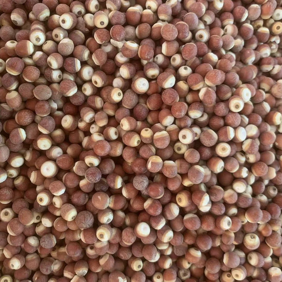 市场精选新鲜芡实特级干货可煮粥煲汤的鸡头米