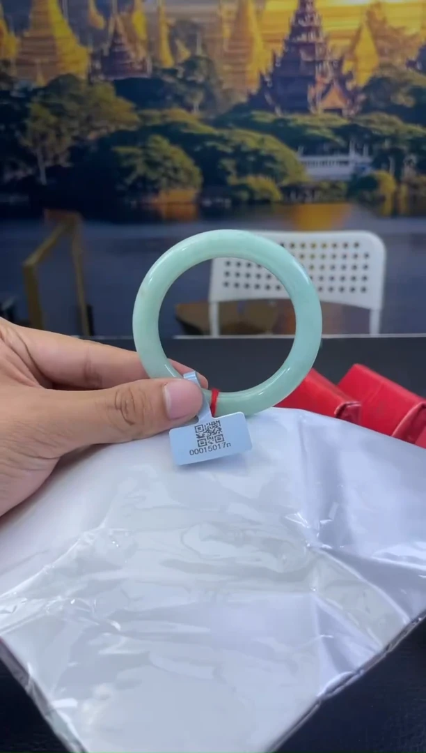 未镶嵌手镯翡翠4