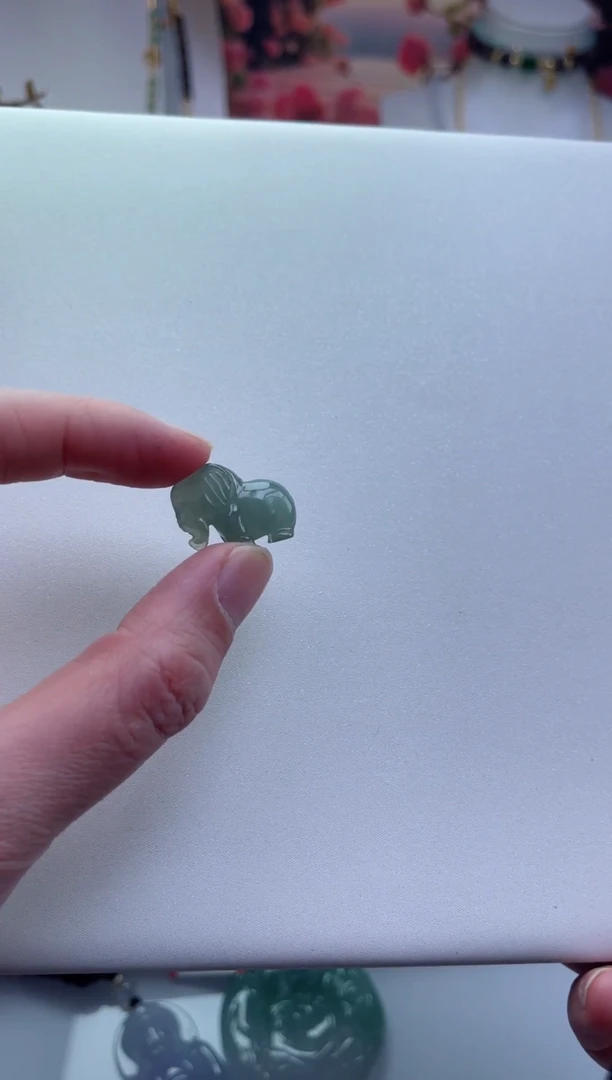 【闪购商品】翡翠挂件未镶嵌-多样性发其一