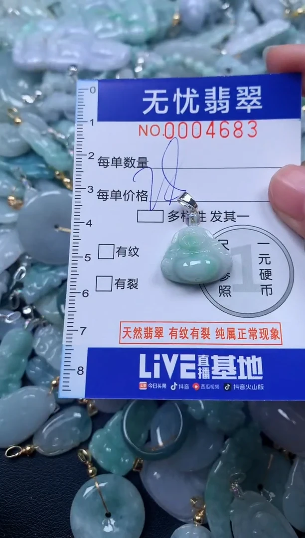 颈饰未镶嵌翡翠4683