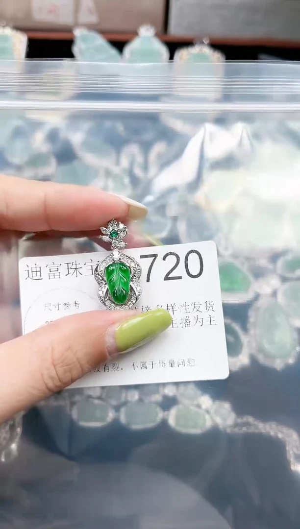 【闪购商品】翡翠颈饰未镶嵌赠皮绳2720