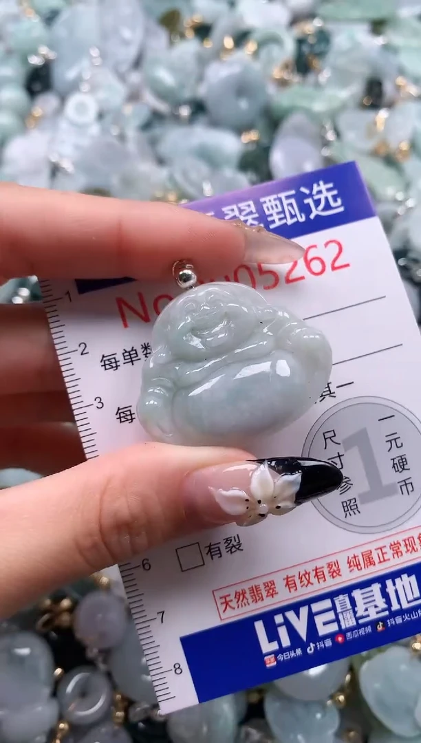 翡翠未镶嵌颈饰5262