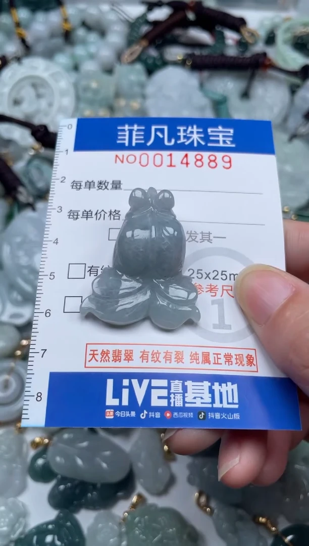 颈饰未镶嵌翡翠14889