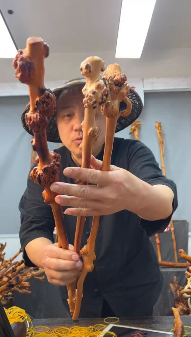 【闪购商品】黑果木其他黑果木898