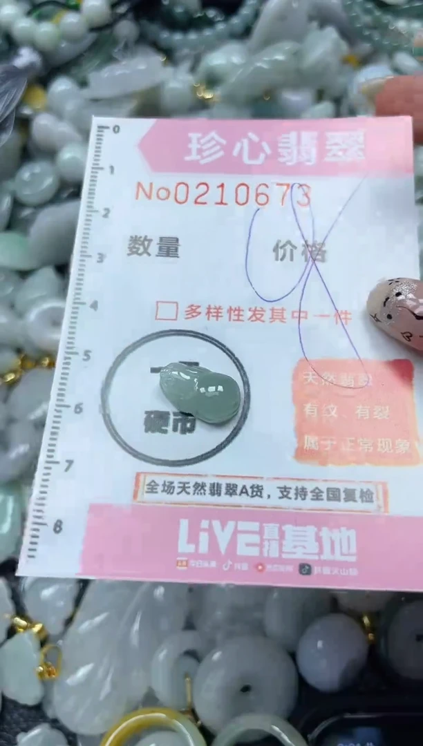 翡翠未镶嵌颈饰闪购0210673