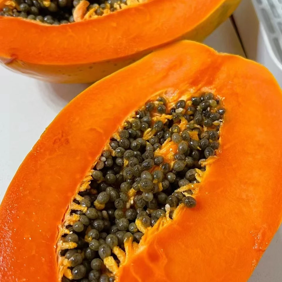 【新如意枝】木瓜一个