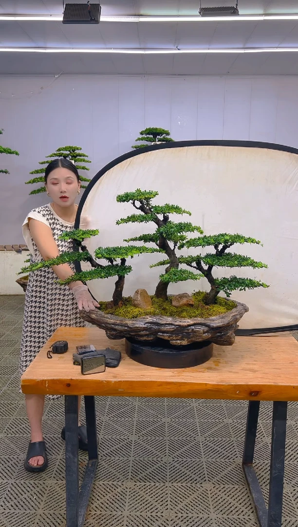 无花朵一物一拍一物一拍