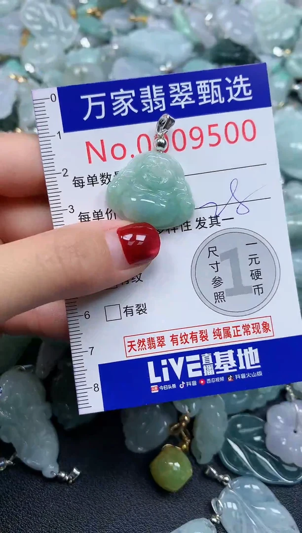 颈饰未镶嵌翡翠9500