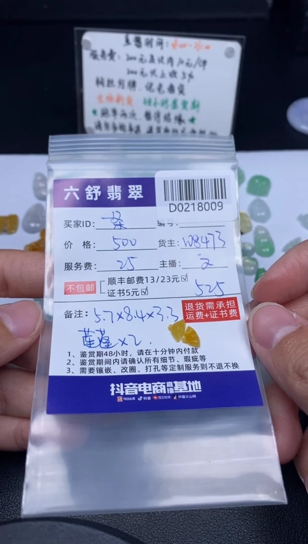 【闪购商品】翡翠吊坠(不含链)未镶嵌D0218009