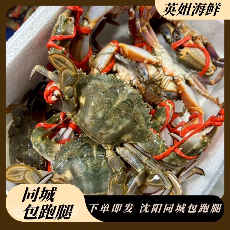 东港花盖混3斤起仅限沈阳市内发货单只1两左右【保鲜不保活】。