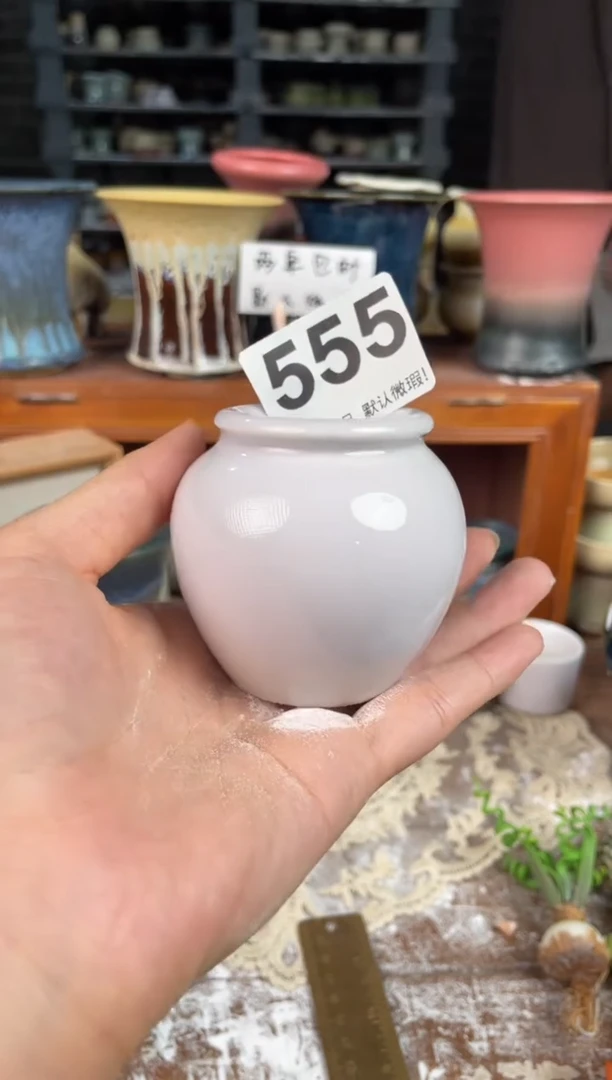 瓷片555小芳直播编号