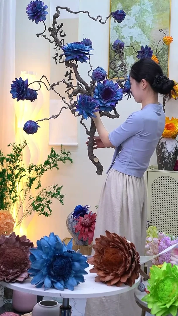 龙枣支洋蓟星空