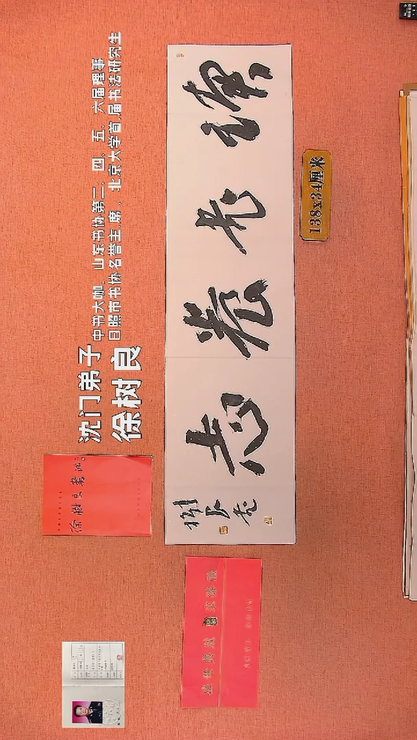 【闪购商品】书法82        徐树良书法作品